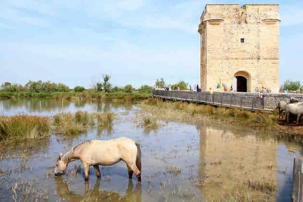 Maison Chaleureuse A 5 Mins Des Remparts Aigues-Mortes Esterno foto