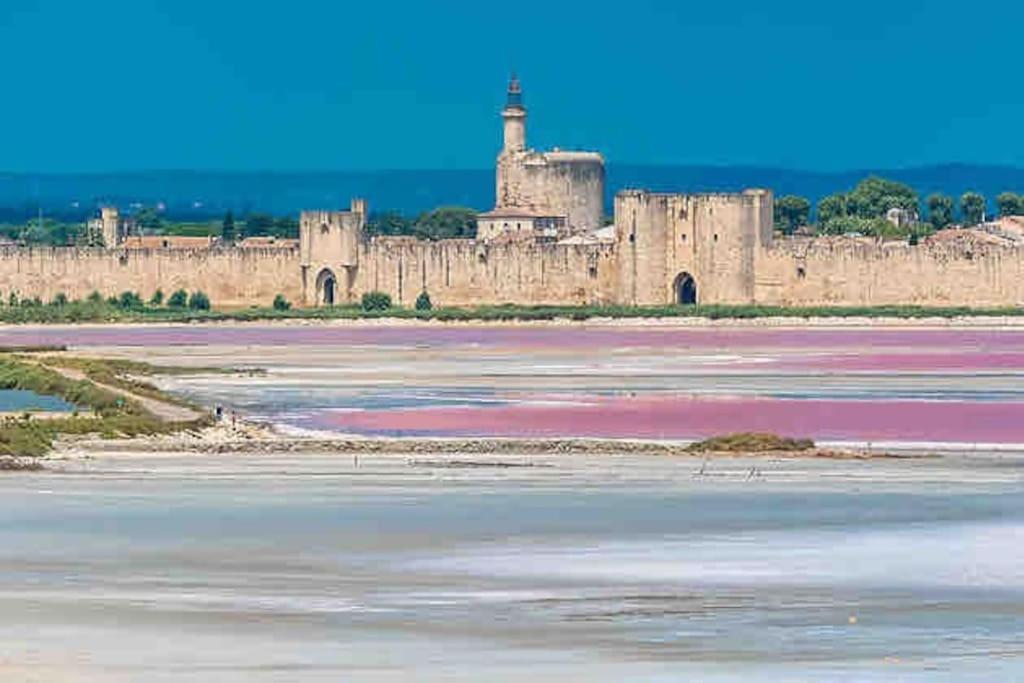 Maison Chaleureuse A 5 Mins Des Remparts Aigues-Mortes Esterno foto